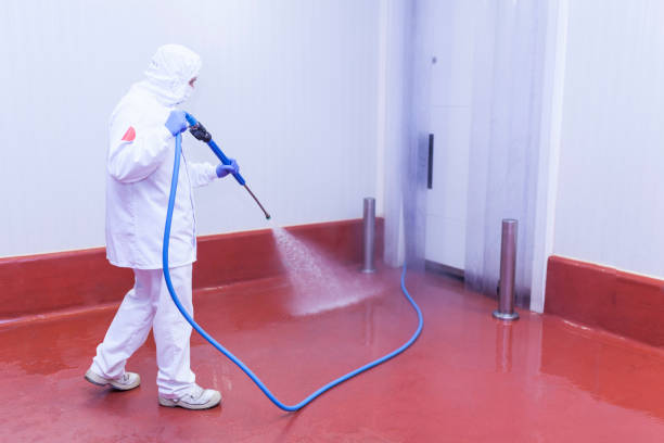 Best Graffiti Removal  in Dorothy, NJ
