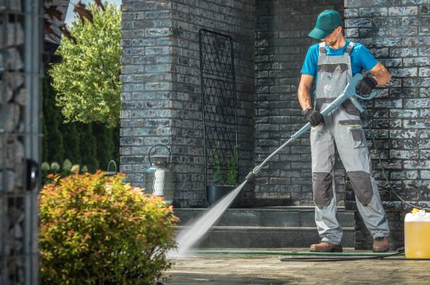 Best Gutter Cleaning  in Dorothy, NJ