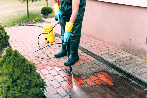Best Patio and Deck Pressure Washing  in Dorothy, NJ